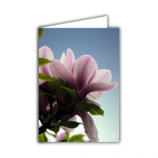 Greeting card | Magnolia